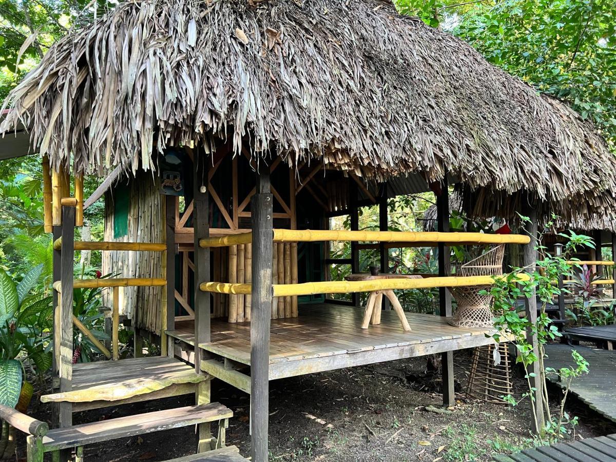 Cabanas Bambutan ปาเลงเก ภายนอก รูปภาพ