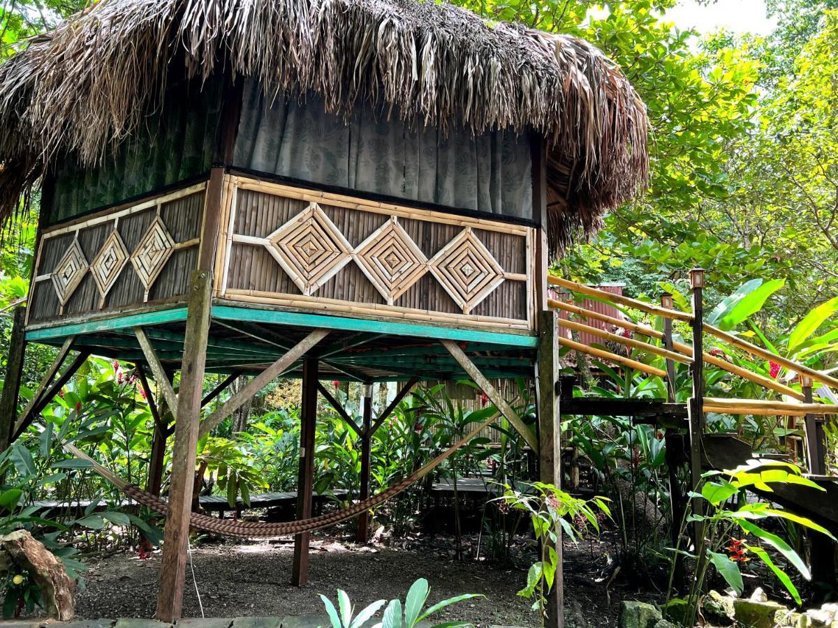Cabanas Bambutan ปาเลงเก ภายนอก รูปภาพ