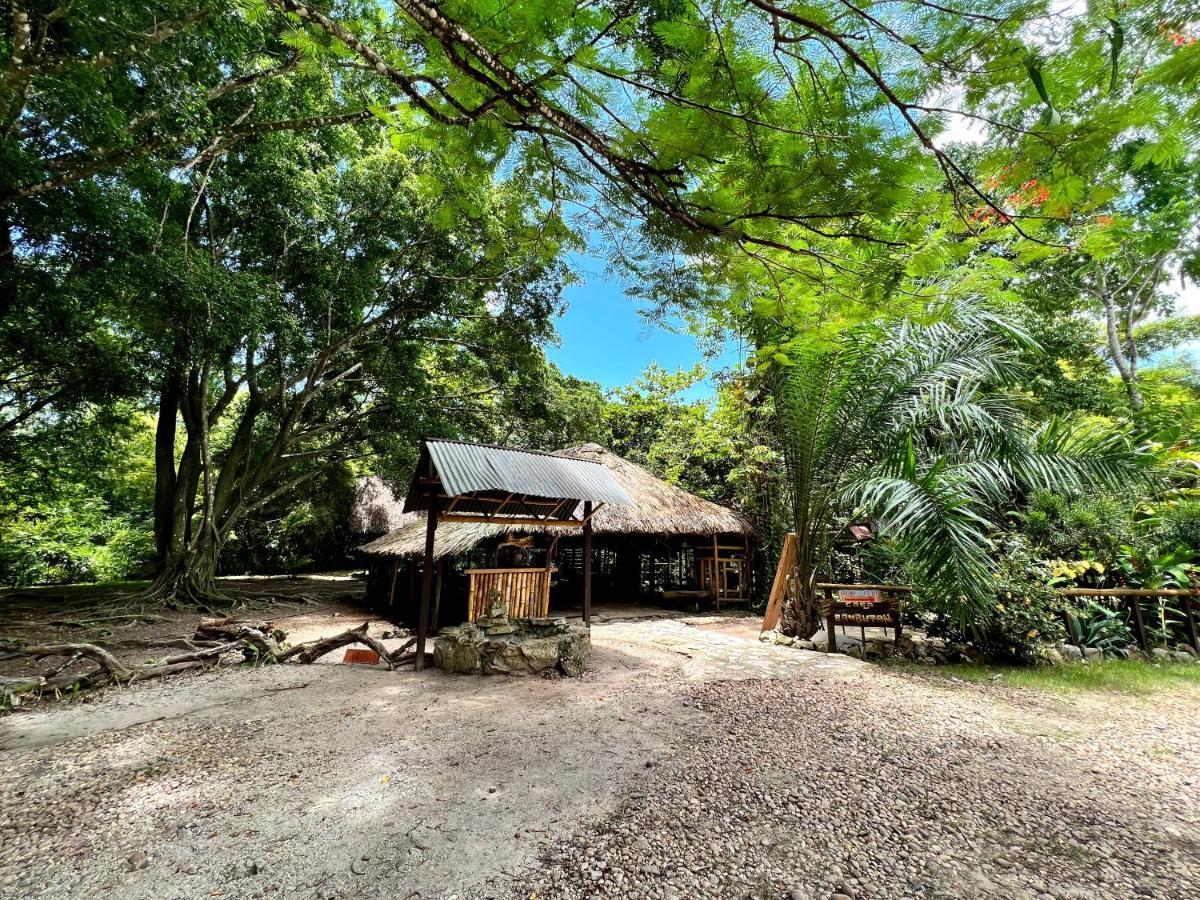 Cabanas Bambutan ปาเลงเก ภายนอก รูปภาพ