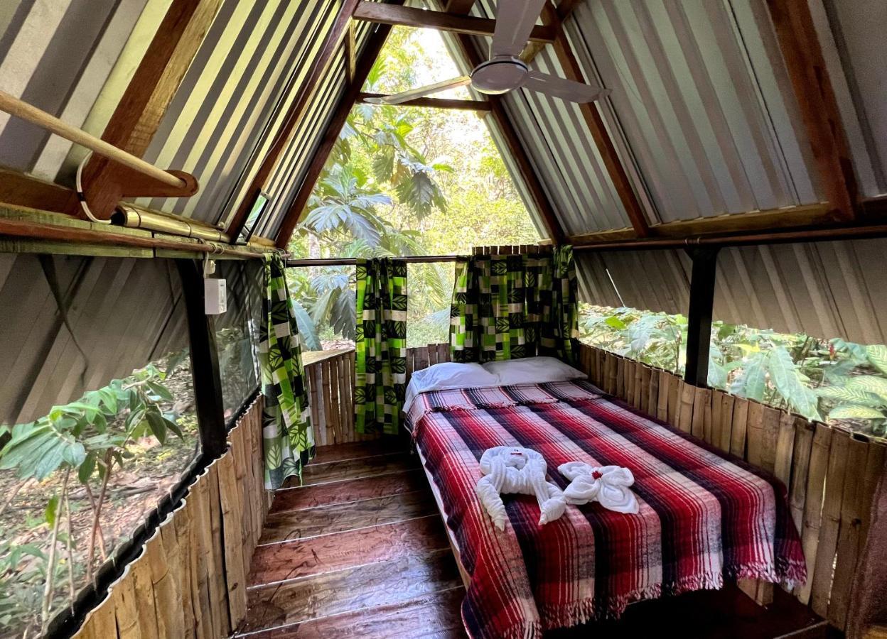 Cabanas Bambutan ปาเลงเก ภายนอก รูปภาพ