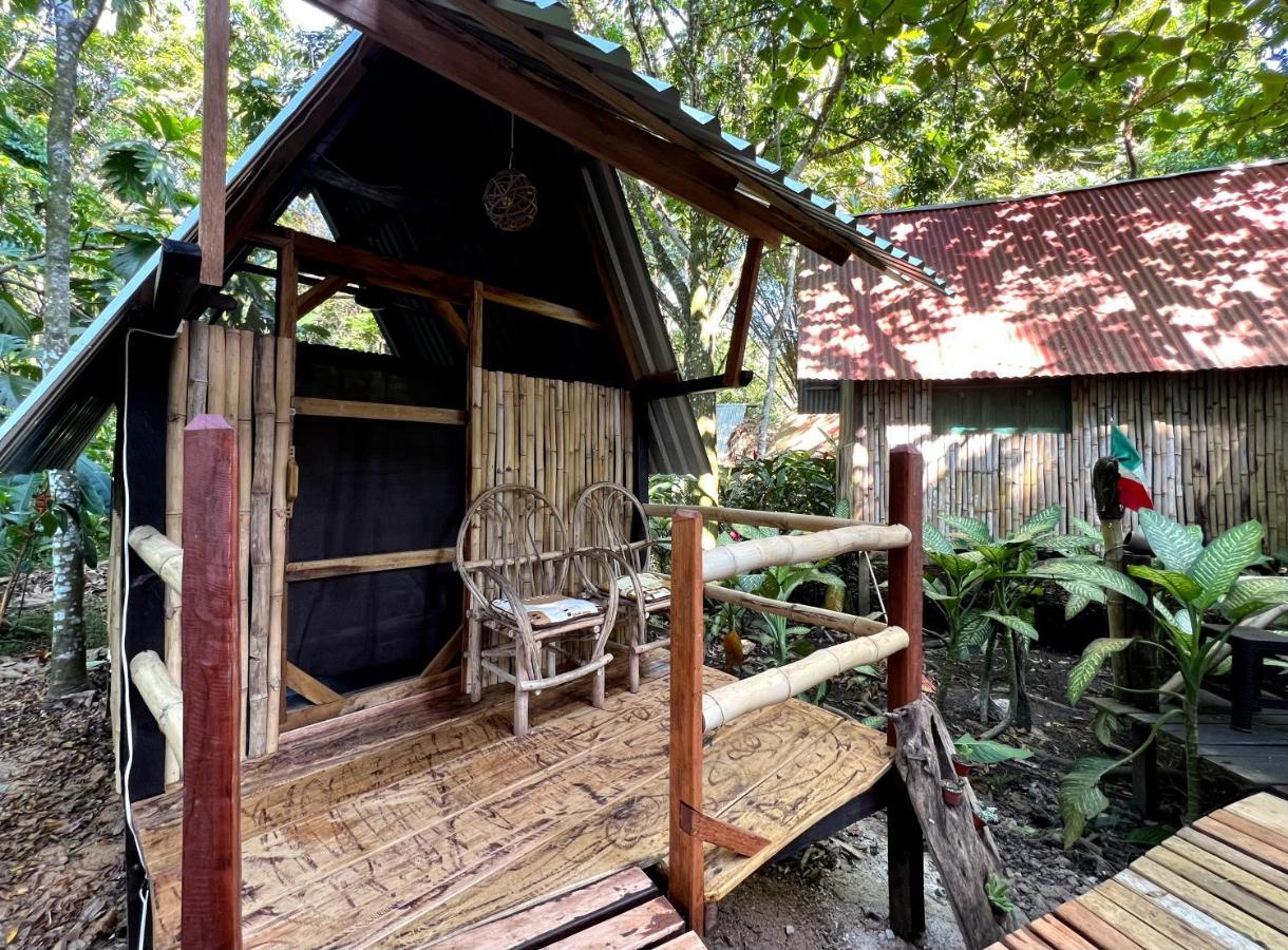 Cabanas Bambutan ปาเลงเก ภายนอก รูปภาพ