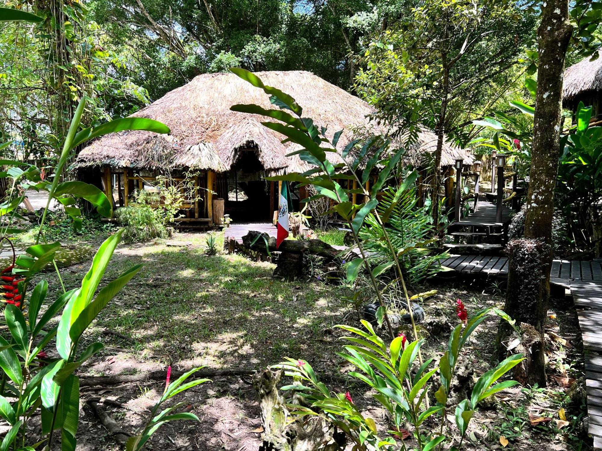 Cabanas Bambutan ปาเลงเก ห้อง รูปภาพ
